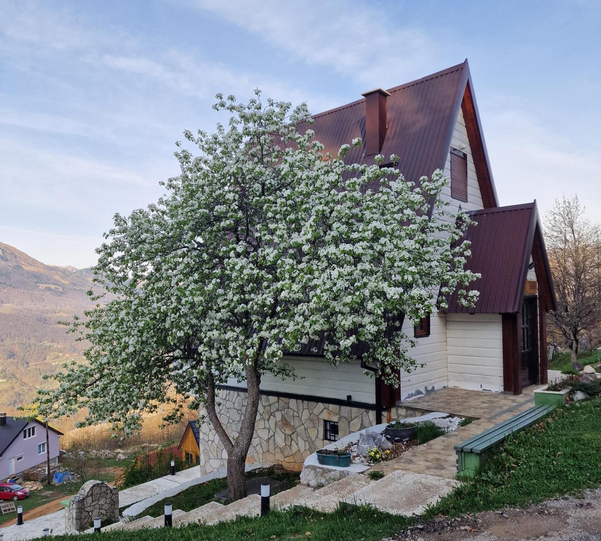 Apartmani Vukomanovo Mojkovac Exterior photo